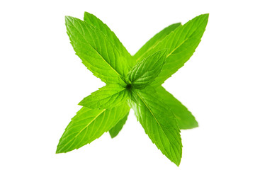 Mint leaves