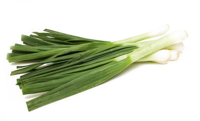 spring onion