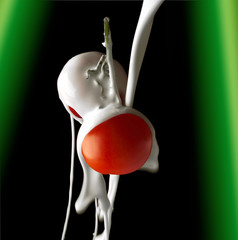 pomodori allo yogurt