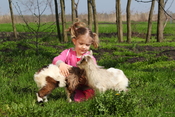 child play with two little goats