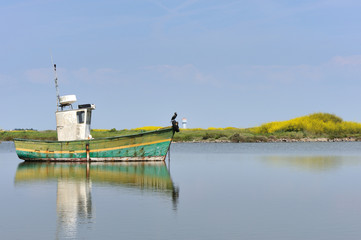 Fototapete bei efototapeten.de bestellen   