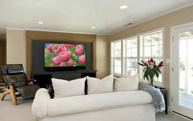 tv room