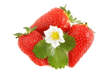 Erdbeeren