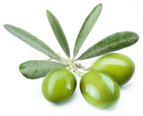 Three green olives on the branch.