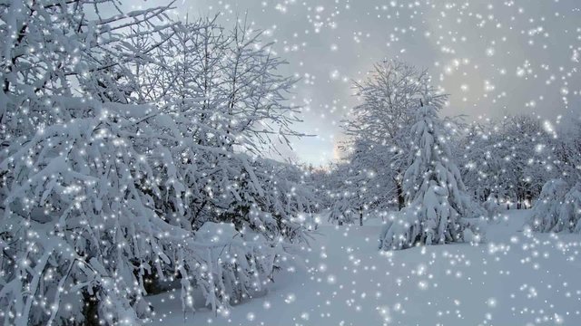 Winter Landschaft Himmel Wolken