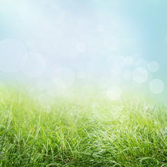 Fototapeta na wymiar Tło wiosna trawą i bokeh światła.