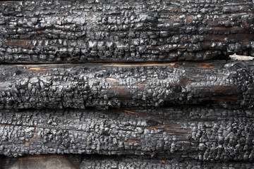 Burnt log wall