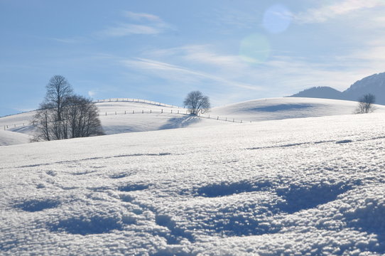 Winter Wonderland - Saalfelden, AT Feb. 2011