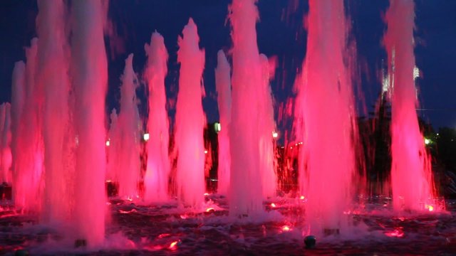 beautiful illuminated pink fountains at night