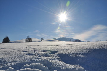 Winter Wonderland - Saalfelden, AT Feb. 2011