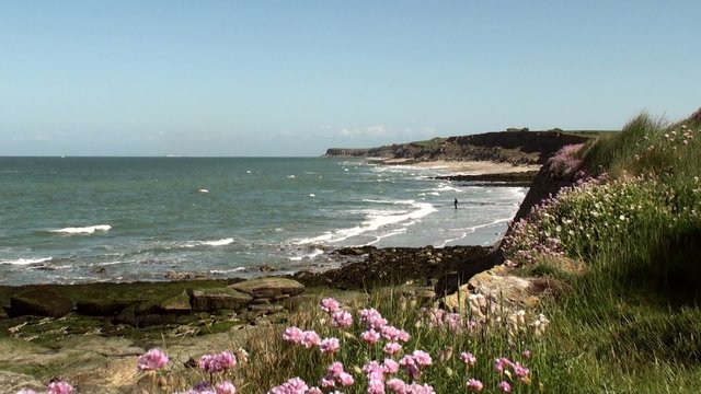 baie de wissant vue du gris nez