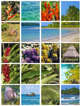 Tropical collage in the archipelago of Bocas del Toro, Central America, Panama