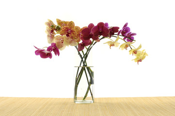 color orchids in bowl on bamboo mat