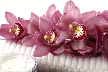 Bouquet of pink orchid on towel with cream