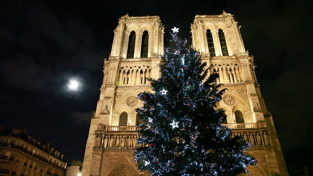 Notre Dame Cathedral, in front of christmas tree at night