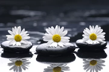 Gordijnen therapie stenen en drie goudsbloemen met reflectie © Mee Ting