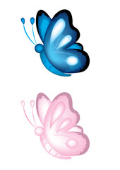 butterfly illustration