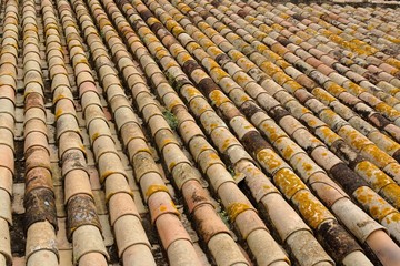 Texture of old roof tiled with cylindrical tiles