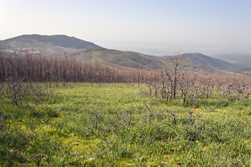 Cerro San Vicente