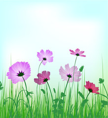 Flowers background with copyspace
