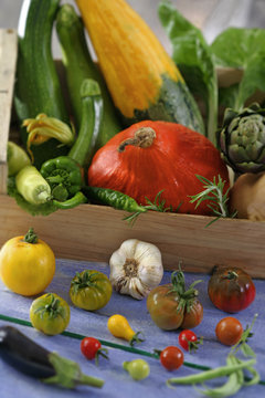 Agriculture biologique