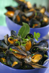 Moules marinières