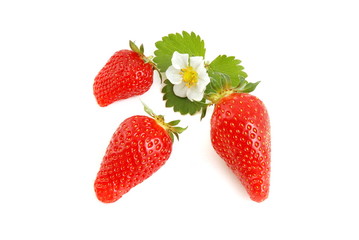 süße leckere erdbeeren, mit blatt und blume