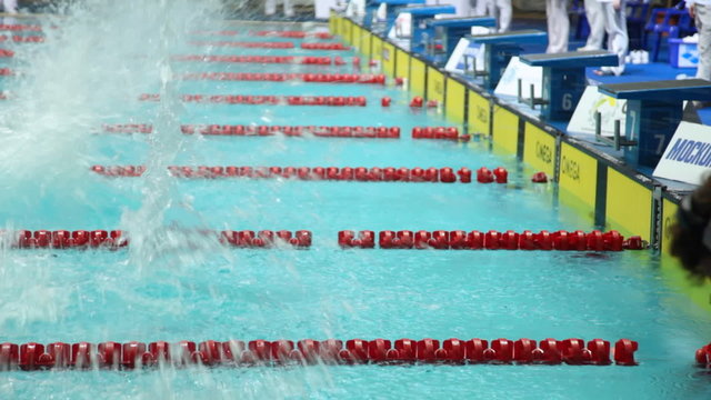 Sportswomen start to swim on championship of swimming