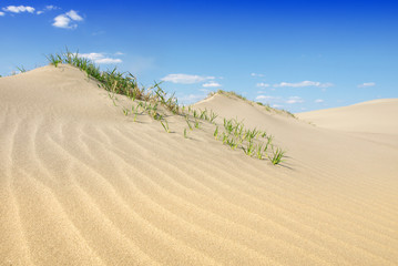 Sand Dunes Landscape