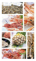 Pescaderia Collage 1