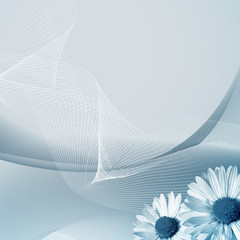 abstract blue background with the daisy