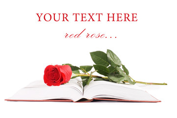 Beautiful red rose on the book