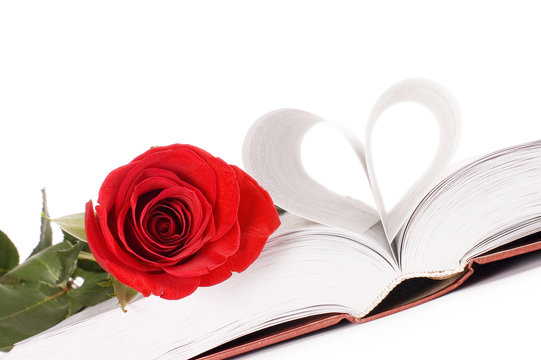 Beautiful red rose on the book