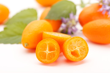 fresh kumquat