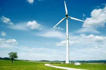 Fototapeta premium Wind Turbines in Summer Landscape