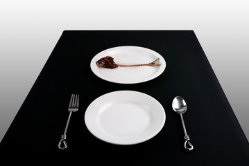 Dish and Fishbone on the table