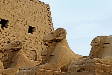 Ram headed sphinxes at temple Complex at Karnak Egypt