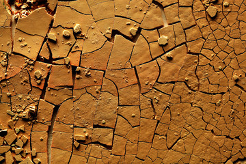 Dried cracked earth