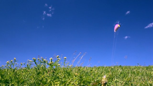 parachute flies above green meadow with wildflowers