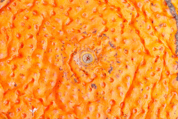 mandarin orange texture