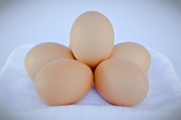 Five eggs on white towel