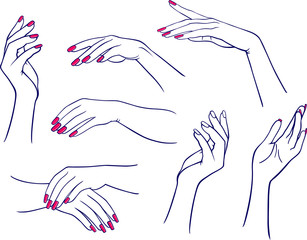 Womans hands