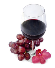 Red wine
