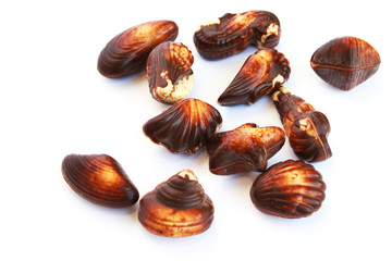 Chocolate seashells