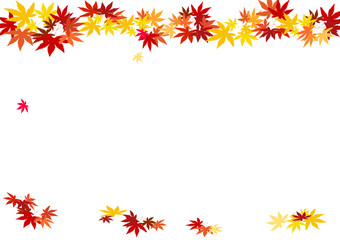 紅葉のイメージ