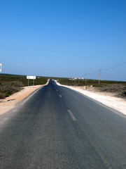 Desert road to the Cape Vincent