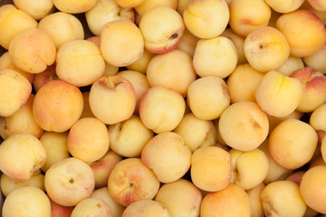 Спалые абрикосы.