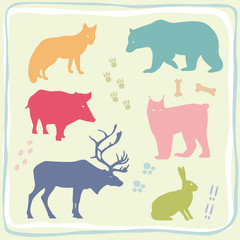 Colored Wild Animals' Set