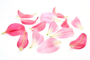 Pink petals