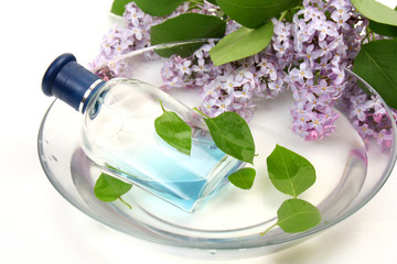 Bottle and branch of a lilac